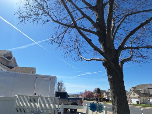 948f6059-ab06-4fb0-b72b-a72ffcba9f85