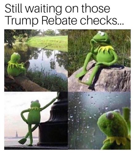 Waiting kermit 06032026071726