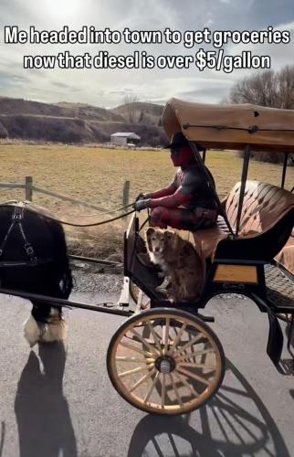 658152130_973504335335890_5245582828433648017_n