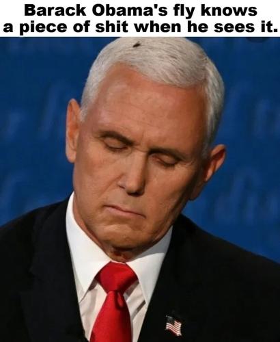 Barack Obama's fly knows a piece of shit when he sees it.768px