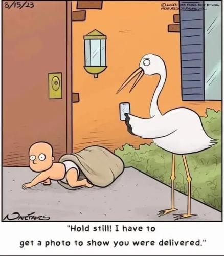 6de2f8f6f90ca5d786ae10b92b4a2611