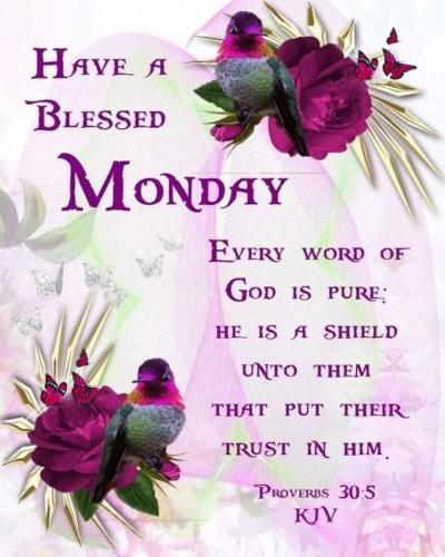 645192237_1547353530083862_1709851598020370037_n (1)