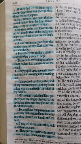 FB_IMG_1774956366181