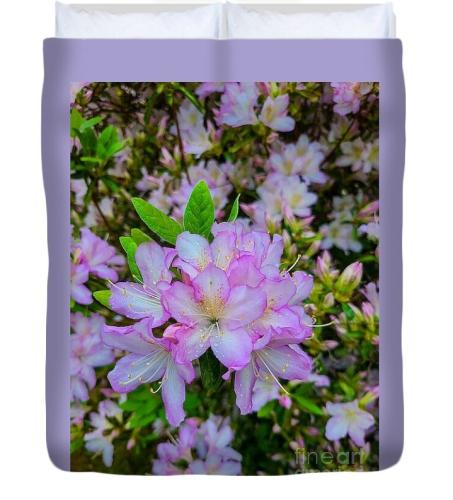 Screenshot_20260326_180642_Brave