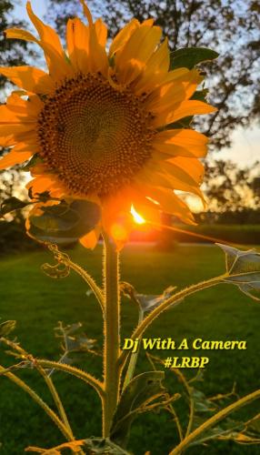 Screenshot_20260303_185707_Gallery