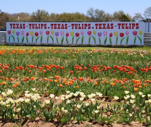 5ccdc501c84297727d780229ec73d831