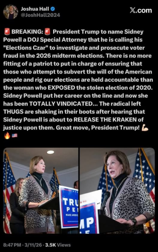 appointment of sidney powell