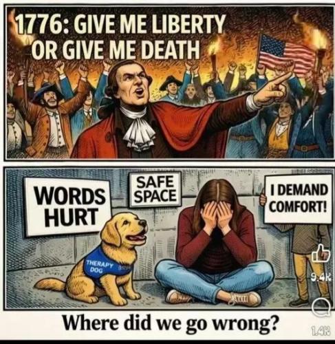 TESTHUB_photos_users_KPBY8Tc46ldqLjWXf6bqxqOW3AR2_-Op0TiE3F3nPQRwUClfX_img_rsz__1100x1100