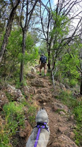 Rugged trail out to the Bird Blind from Devils Water Hole