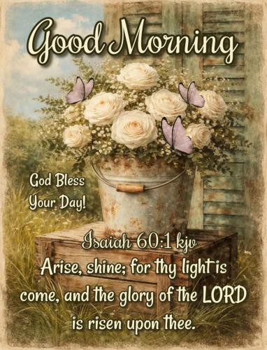 646541557_1489356789217437_1837354414098243707_n