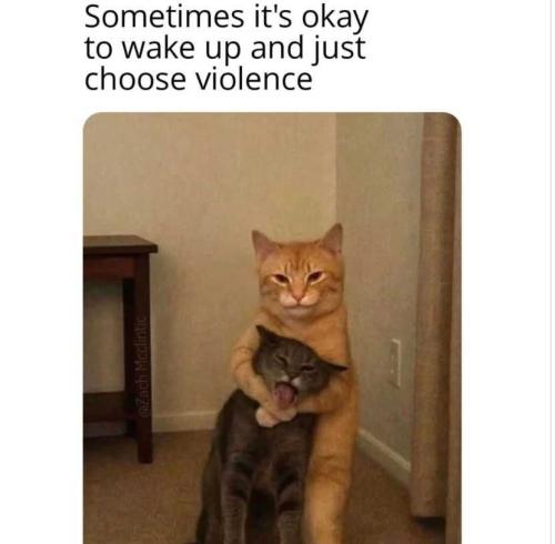 n476HTMW44Xm4CGAodhJ_28_d39271961da187d54b58a571bd846f72_image