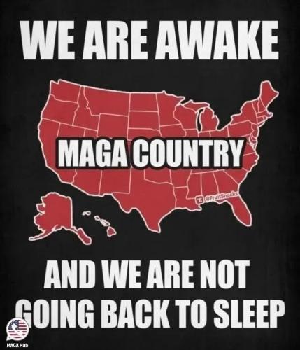 17739149473635706790258461964492_302209447455859