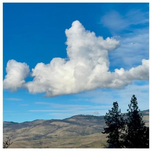 eb146011-7de6-45a2-8f23-7056347d6f75