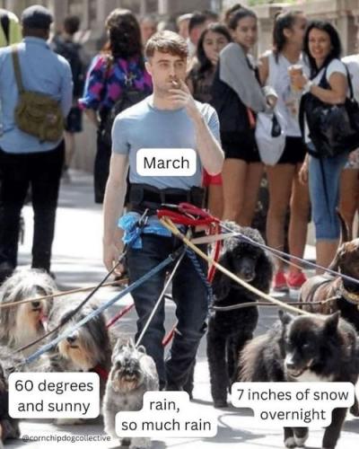 spring-memes-5-3-17-2025