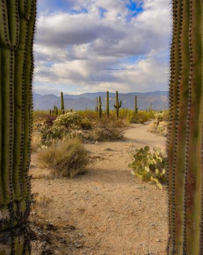 637158365_907956315535015_4571112516899263466_n