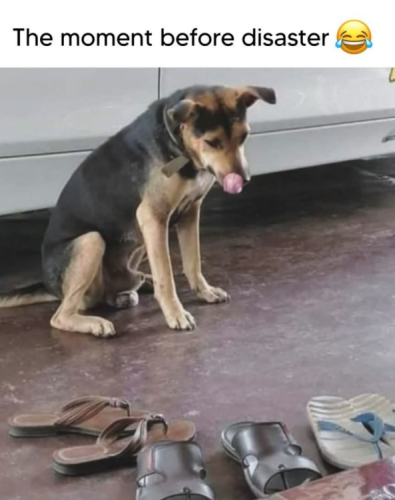 moment-before-disaster-c