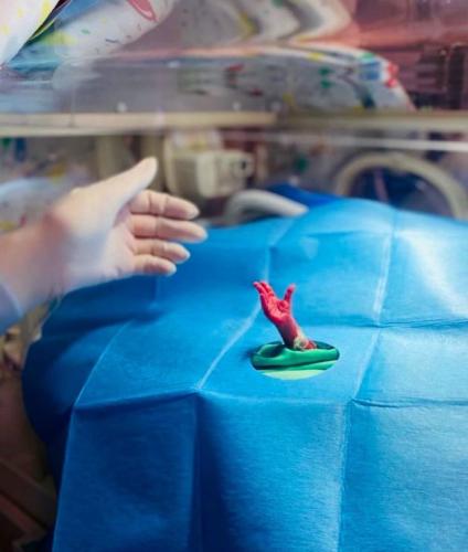 638381722_1458091962346966_1892093693103233592_n