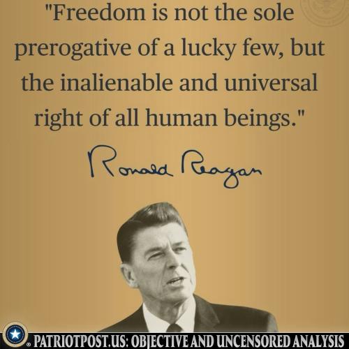 01KKBVZ3YDT44PEXNRED3A95CM