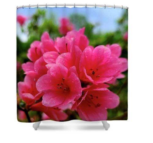 Screenshot_20260325_110823_Brave