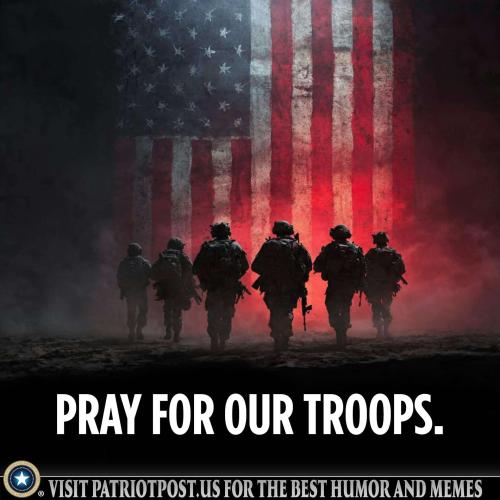 01KJQMZ00H9415N2NJJ14AN1P6