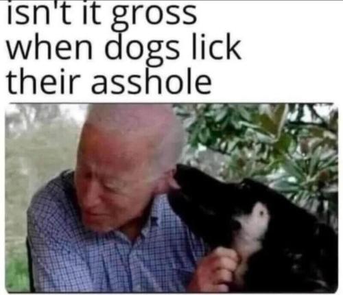 gross-when-dogs-lick-asshole