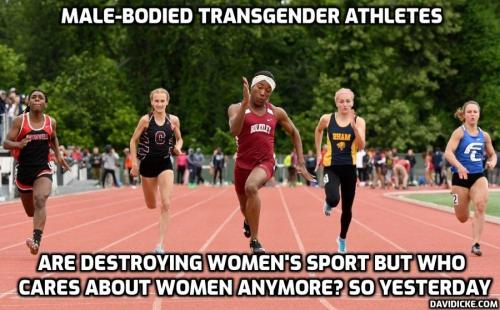 TRANSGENDER-SPORT-IMAGE