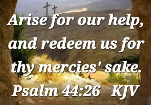 68d05e8f-9326-4e48-8b3e-74e093a983cf