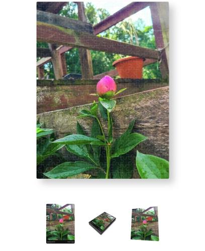 Screenshot_20260308_130000_Brave