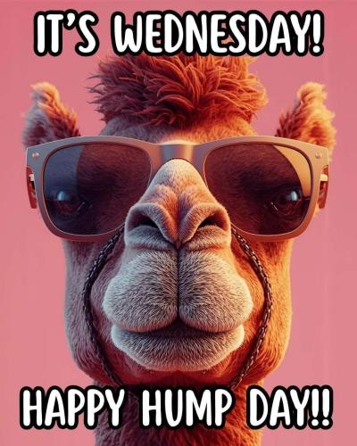 1-Hump Day