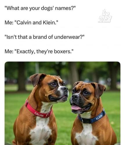 main-qimg-75c8c2fd0666df57b5c8564511cf30bc