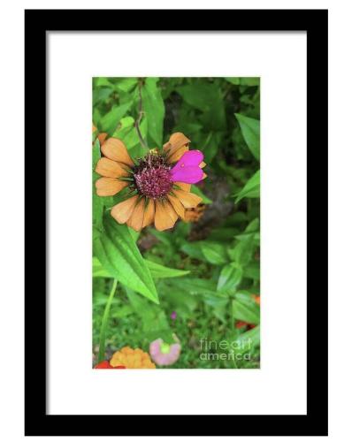 Screenshot_20260313_141730_Brave