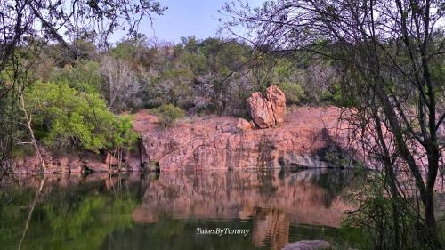 Early morning reflections