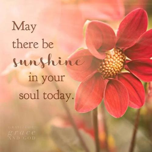 ed48bb5e123360b006d2576529a4a523