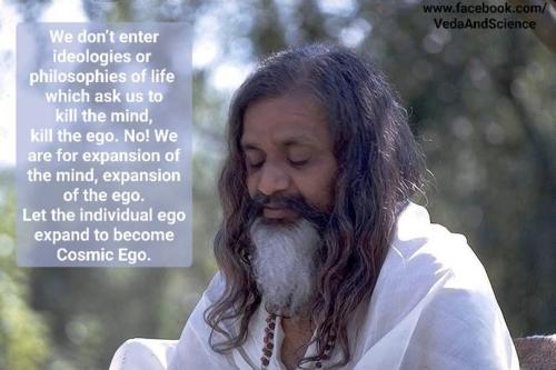 ,                             ,    ,