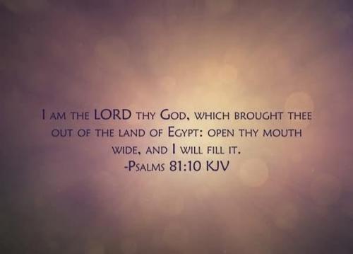 987eafd6-e9d8-4d2c-b905-3a85a0285604