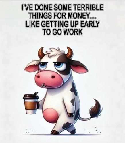 17736567700051679674464969603408_153489558305769