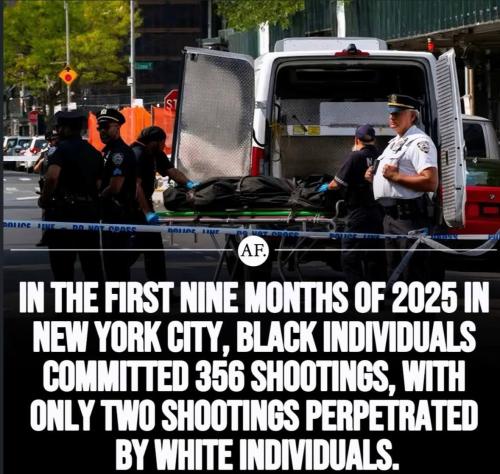 IMG_20260326_170403_312