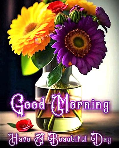 031026 -Beautiful flwrs - HABD