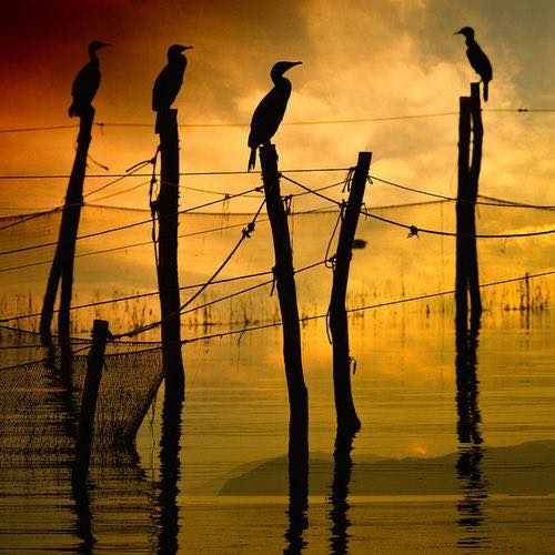 651389979_27148632251391508_8498319272110367727_n