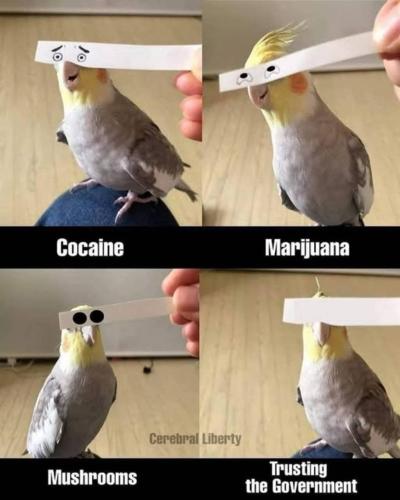 IMG_20260307_084435_071