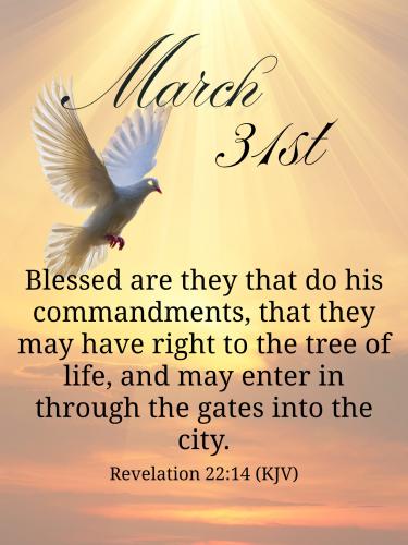 658515513_959289733272040_4629542181760826908_n