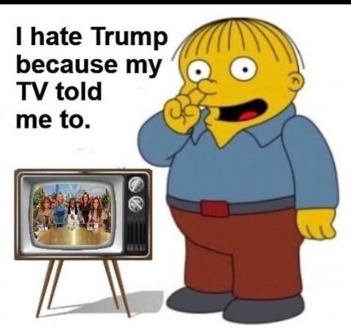 FB_IMG_1772286574038