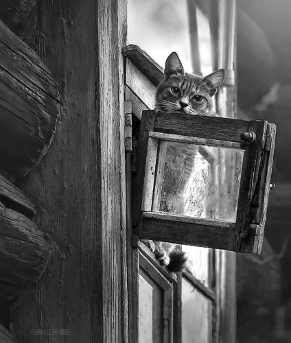 500070367_122220331022175238_9140210391274694494_n