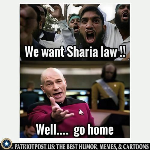 01KK49Z0Q7PN0NFXPBFK8G6QGX