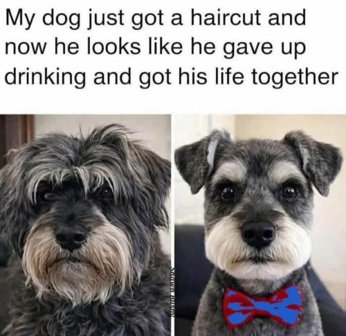 B1732021-DB54-45E6-A3EA-09FE91458BED-31511-0000164D78751F1D