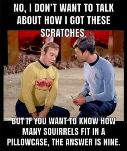 651150436_2005953273665485_2712557554107147004_n