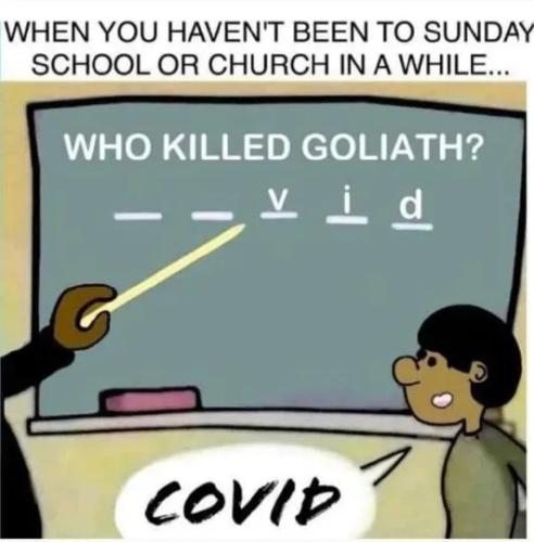 17733991911853630100187207135405_149077644492036