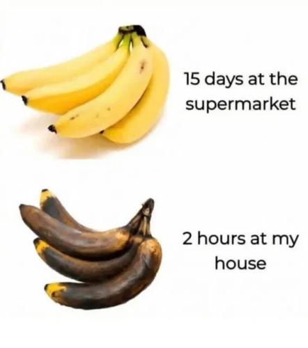 fd55284fda3d2bc2303cbe9362106319