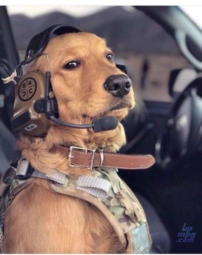 main-qimg-4b9e121f98ae6a30fa884fbd633e1b9b