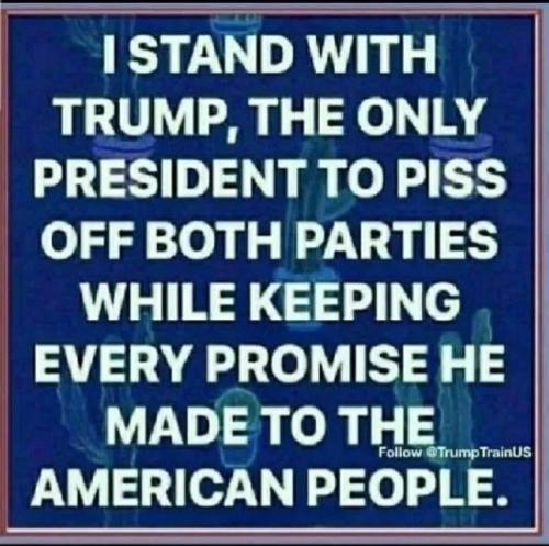 17721921743297740082426658441029_1290888149515113